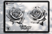 Chicano design bundle, a Brush Add-On by Studio.Valhalla (Thumbnail 3 of 5)