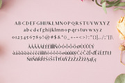 Adouliss Mag Serif 9 Font Family, a Serif Font by Creativetacos (Thumbnail 2 of 4)