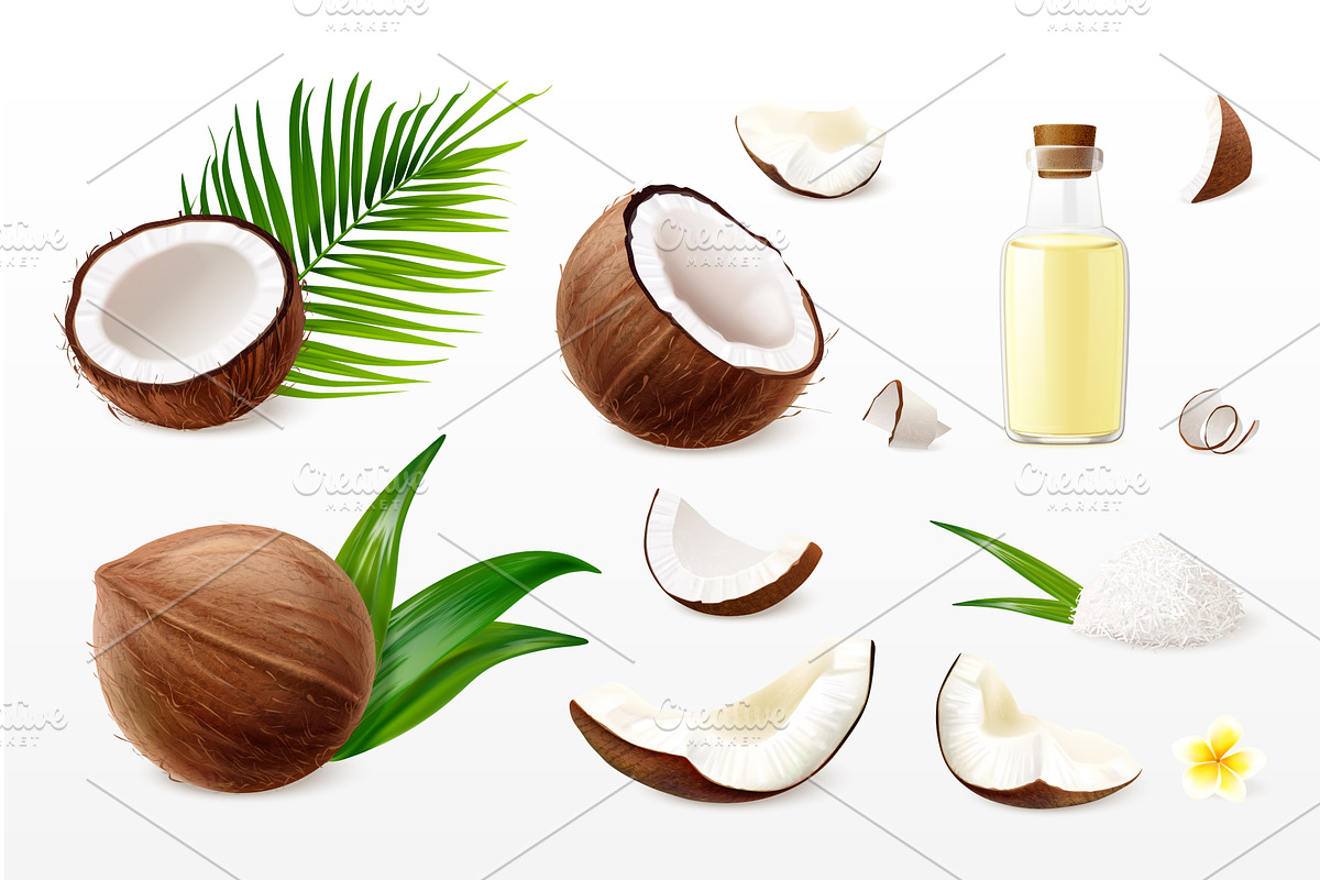 Realistic coconut. 3d coco slice, a Food Illustration by Stock-Smart-Start