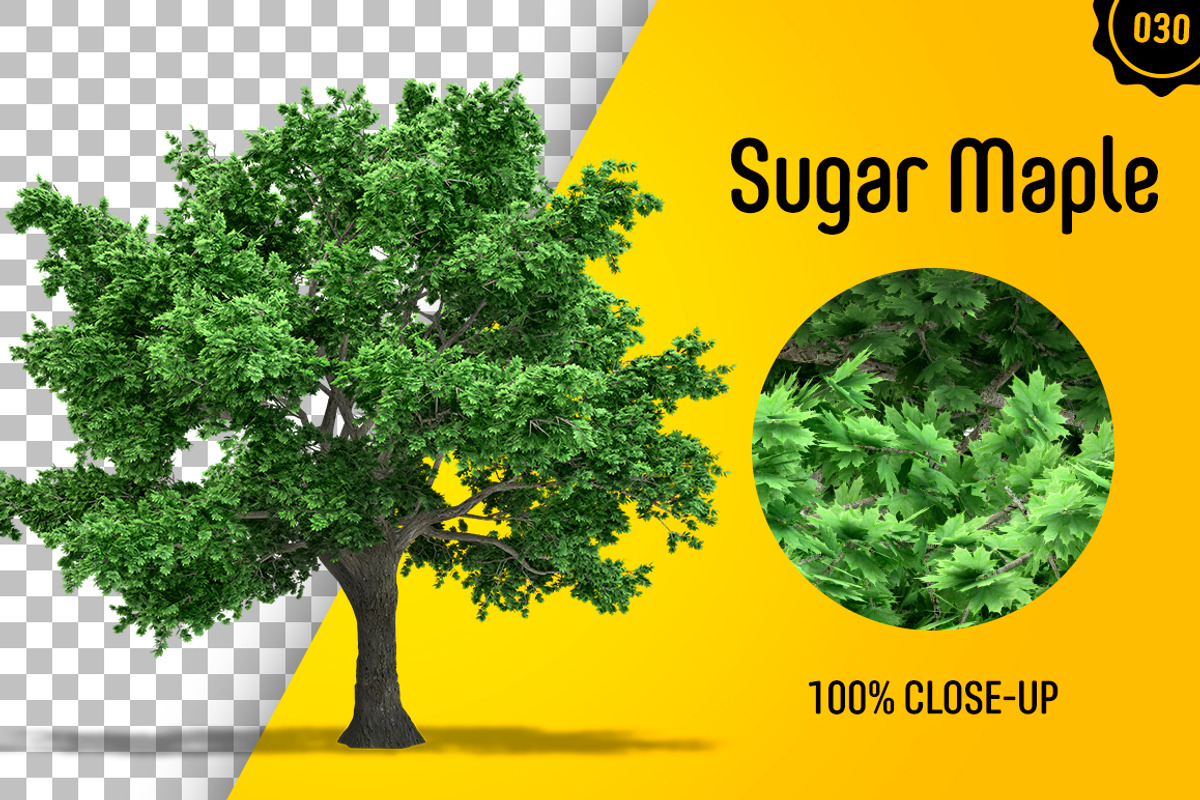 CUT OUT TREES - 60 PCS BUNDLE, a Packaging Mockup by 3DSTORE (Photo 31 of 63)