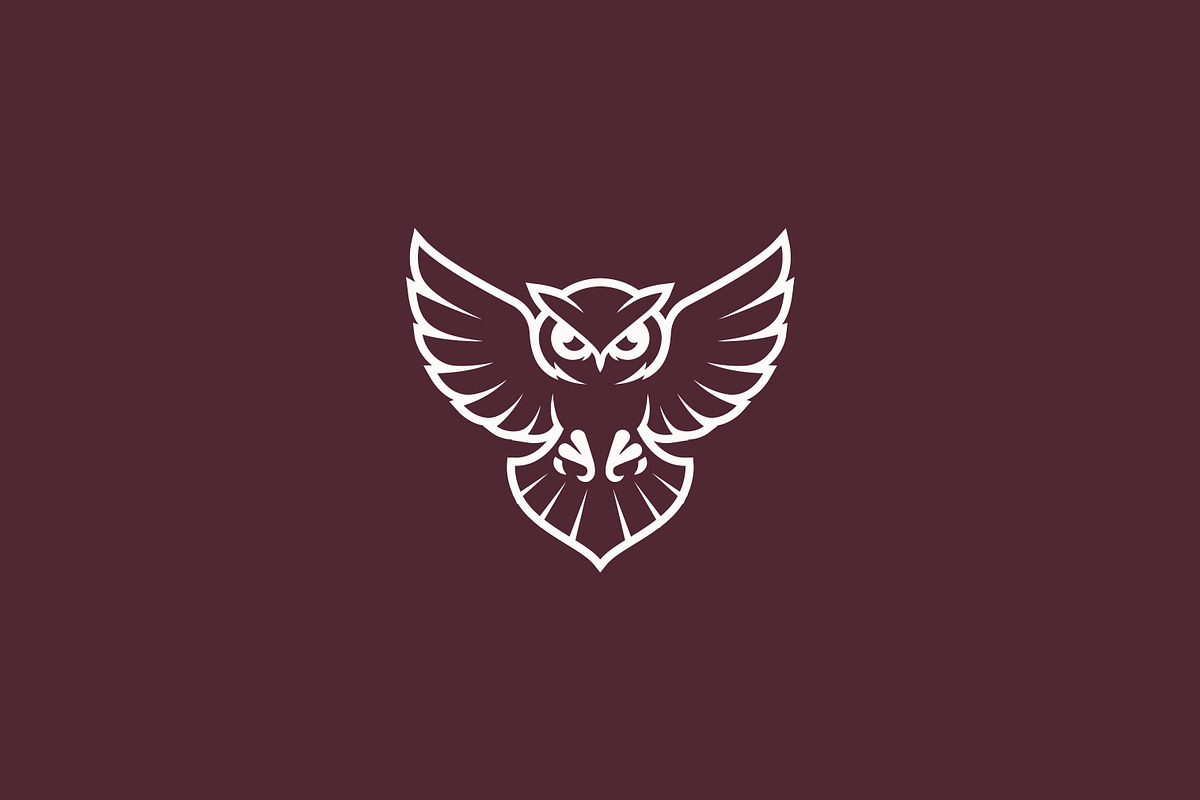 Majestic Gold Owl Fly Logo Wisdom, a Branding & Logo Template by Signatoro (Photo 2 of 3)