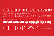 Nuga - Slab Serif, a Slab Serif Font by Ridha-38.lineart (Thumbnail 3 of 7)
