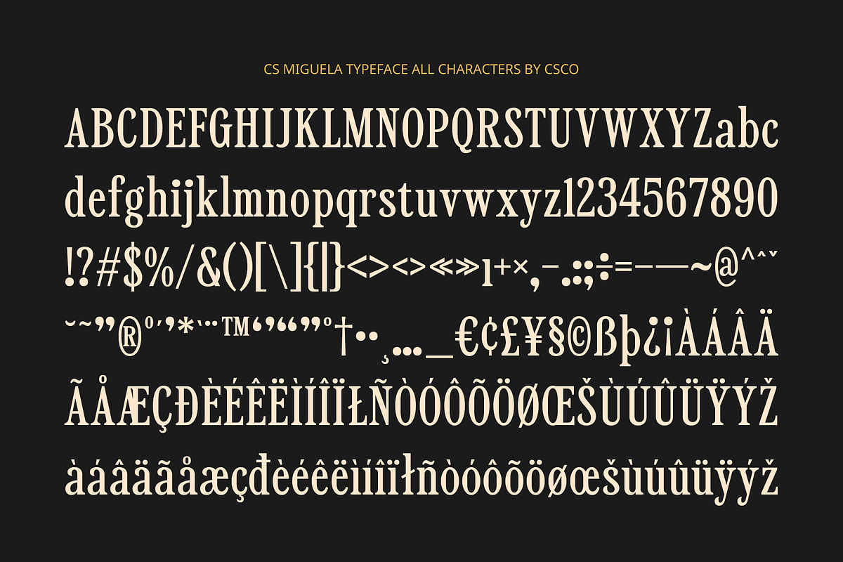 CS Miguela – Classic Font, a Serif Font by Craft Supply Co. (Photo 8 of 8)