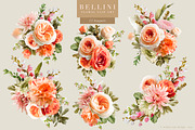 Bellini Floral Clip Art Collection, an Object Graphic by Eclectic Anthology (Thumbnail 10 of 17)