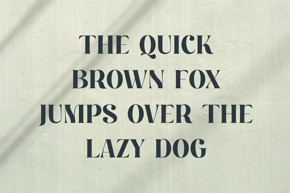 Montena Cottage Stylish Retro Serif, a Serif Font by Dylla_studio (Photo 8 of 10)