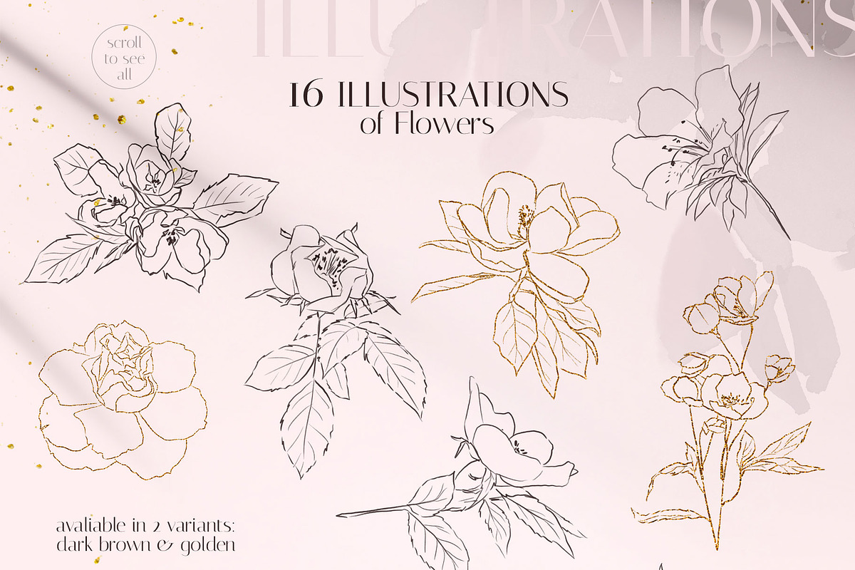 MOTHS & BUTTERFLIES illustration set, an Animal Illustration by Yuliia Lashevska (Photo 3 of 13)