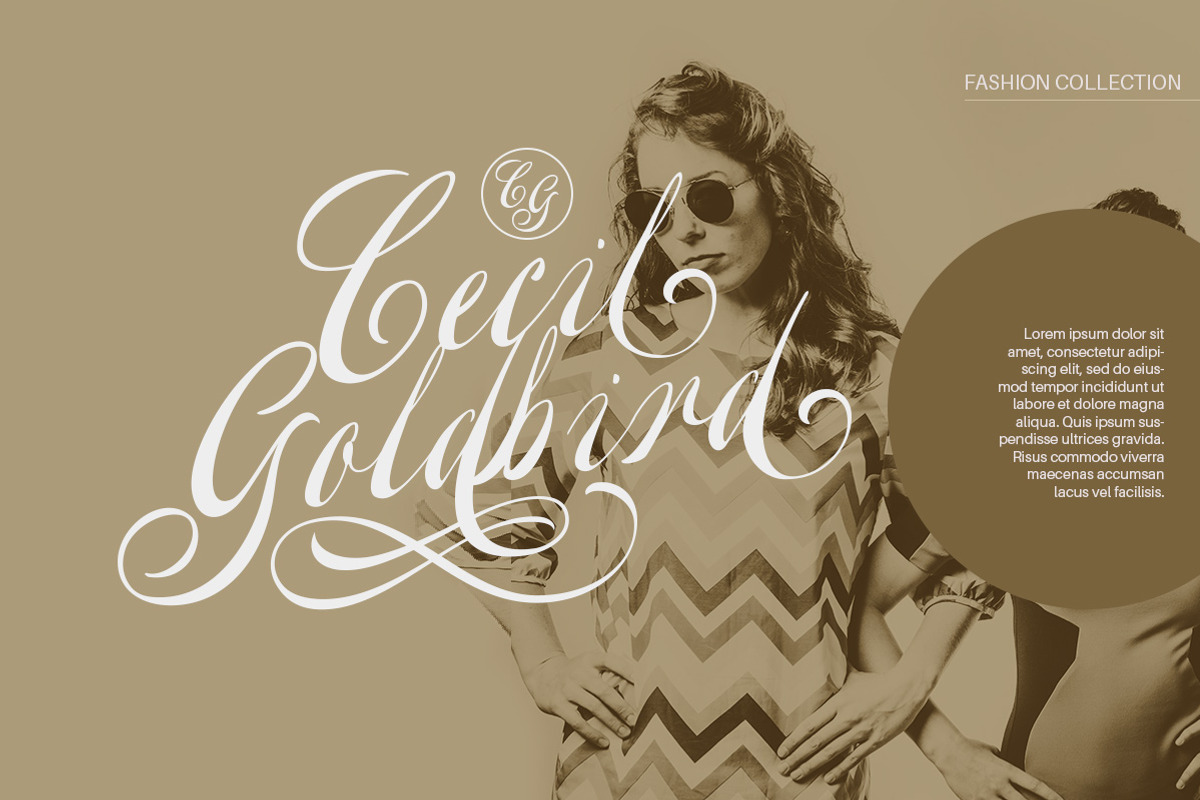 Welroseltone - Unique Script Font, a Script Font by Letterhend Studio (Photo 3 of 10)