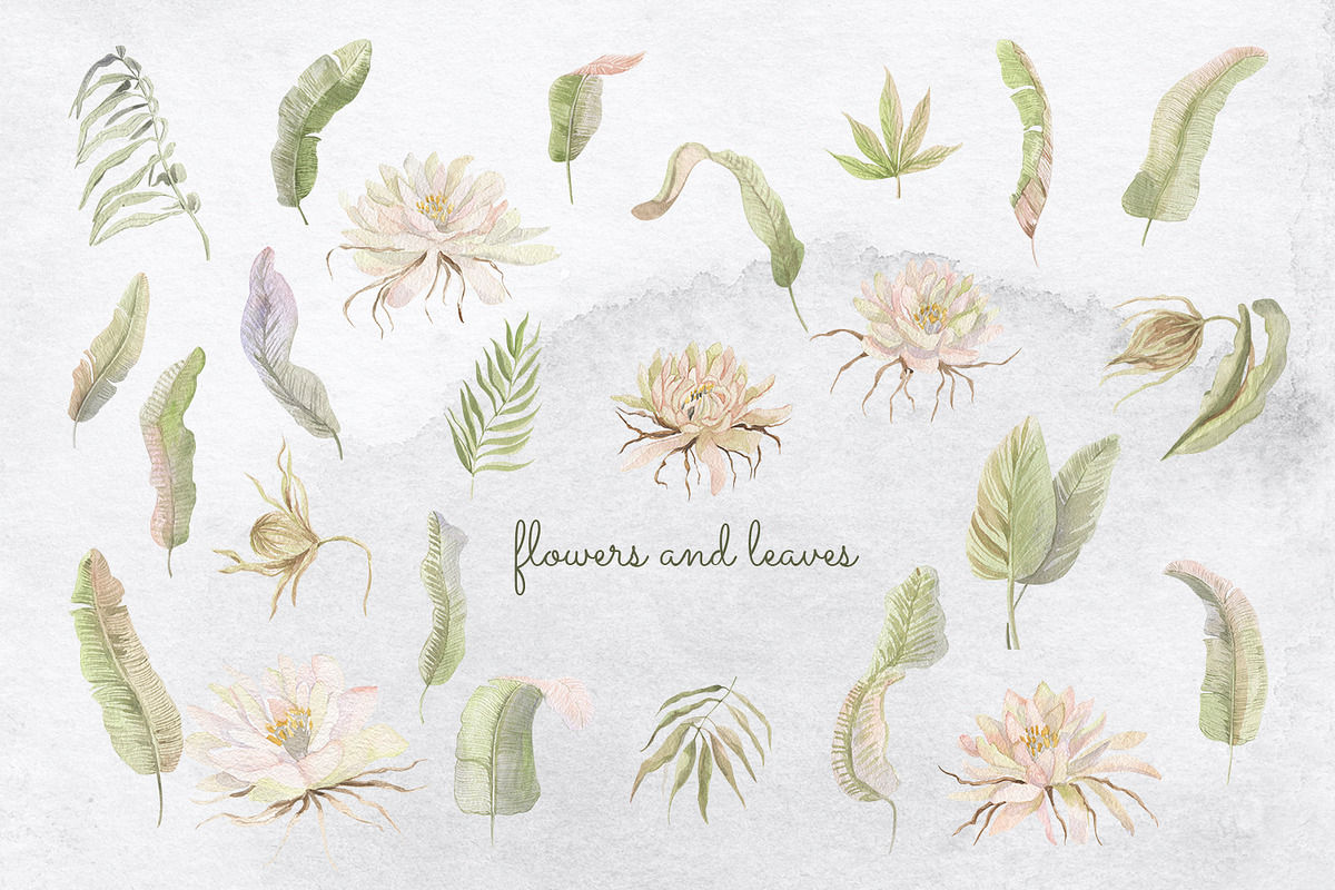 Exotic. watercolor set, an Illustration by Love Watercolor Store (Photo 7 of 11)