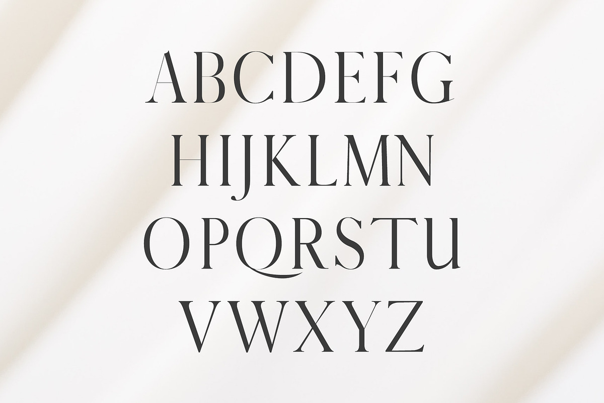 Warick Serif Font Family preview 2
