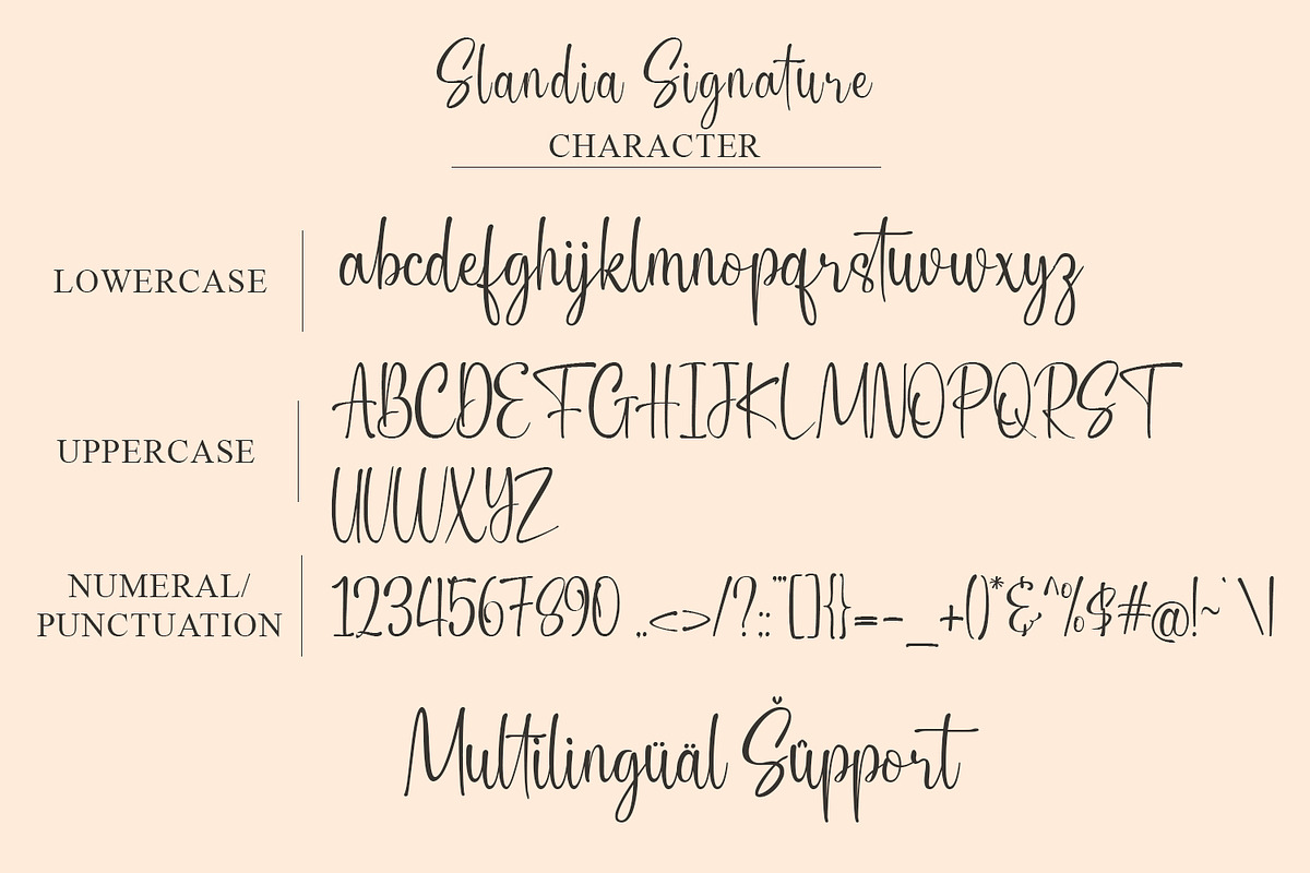 Slandia Signature / Handwriting Font, a Script Font by Mytype Studio (Photo 9 of 11)