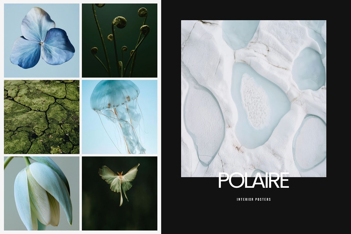 Cool nature | 325 stock photos, a Background Photo by Tale.Haus (Photo 11 of 19)