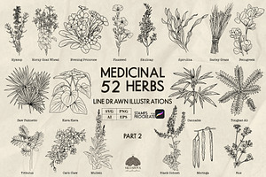 Medicinal Herbs part 2 + Procreate, a Healthcare Illustration by Skliarova