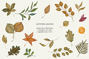 Fall watercolor illustrations, a Seasonal Illustration by AS Studio (Thumbnail 1 of 5)