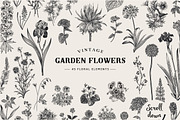 Garden Flowers. Black and white, an Illustration by olga.korneeva (Thumbnail 5 of 5)