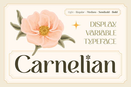 CARNELIAN - Display Variable Type, a Sans Serif Font by Artflorara