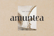 Vattea Villany Modern Serif Typeface, a Serif Font by Dylla_studio (Thumbnail 6 of 10)