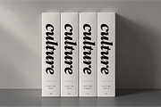 Rosemeri — MODERN EDITORIAL SERIF, a Serif Font by InkwellTypeCo (Thumbnail 15 of 19)
