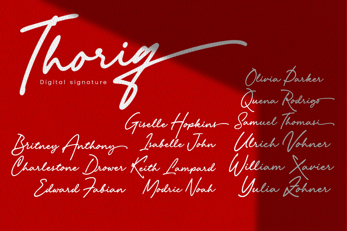 Thoriq - Digital Signature, a Script Font by Cititype (Photo 11 of 11)