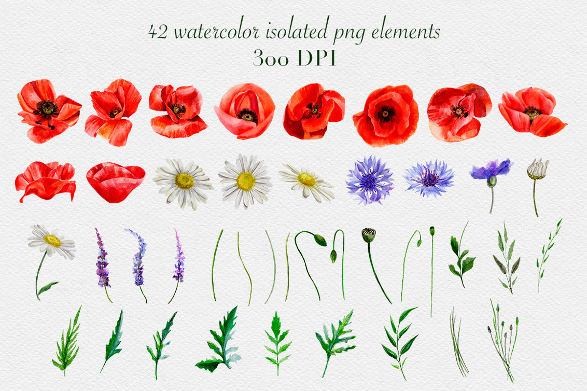 Watercolor wildflowers collection, a Decorative Illustration by mArtstore (Photo 7 of 8)