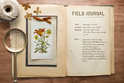 Field Journal Handwritten Font Duo, a Handwritten Font by Eclectic Anthology (Thumbnail 9 of 11)