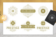 36 Luxury Ornament Logos, a Branding & Logo Template by Vasya Kobelev (Thumbnail 5 of 13)