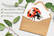 Watercolor Ladybug Clipart, an Illustration by Libby Wishes (Thumbnail 4 of 7)