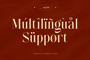 Anzelie – Elegant Stylish Serif, a Serif Font by Almeera Std (Thumbnail 8 of 10)