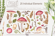 Fungi watercolor, an Illustration by Soir Creative (Thumbnail 2 of 3)