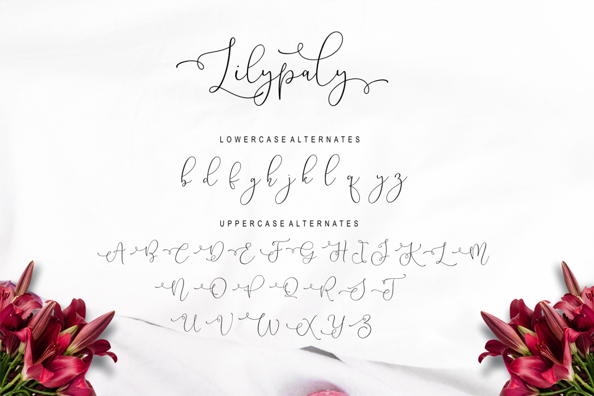 Lilypaly - Handlettering Font, a Script Font by Sronstudio (Photo 15 of 19)