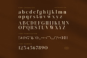 Mochin Elegant Serif Font, a Font by Graphicxell (Thumbnail 7 of 8)