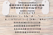 Simple Prices | Script Font, a Script Font by Scratchones (Thumbnail 7 of 8)