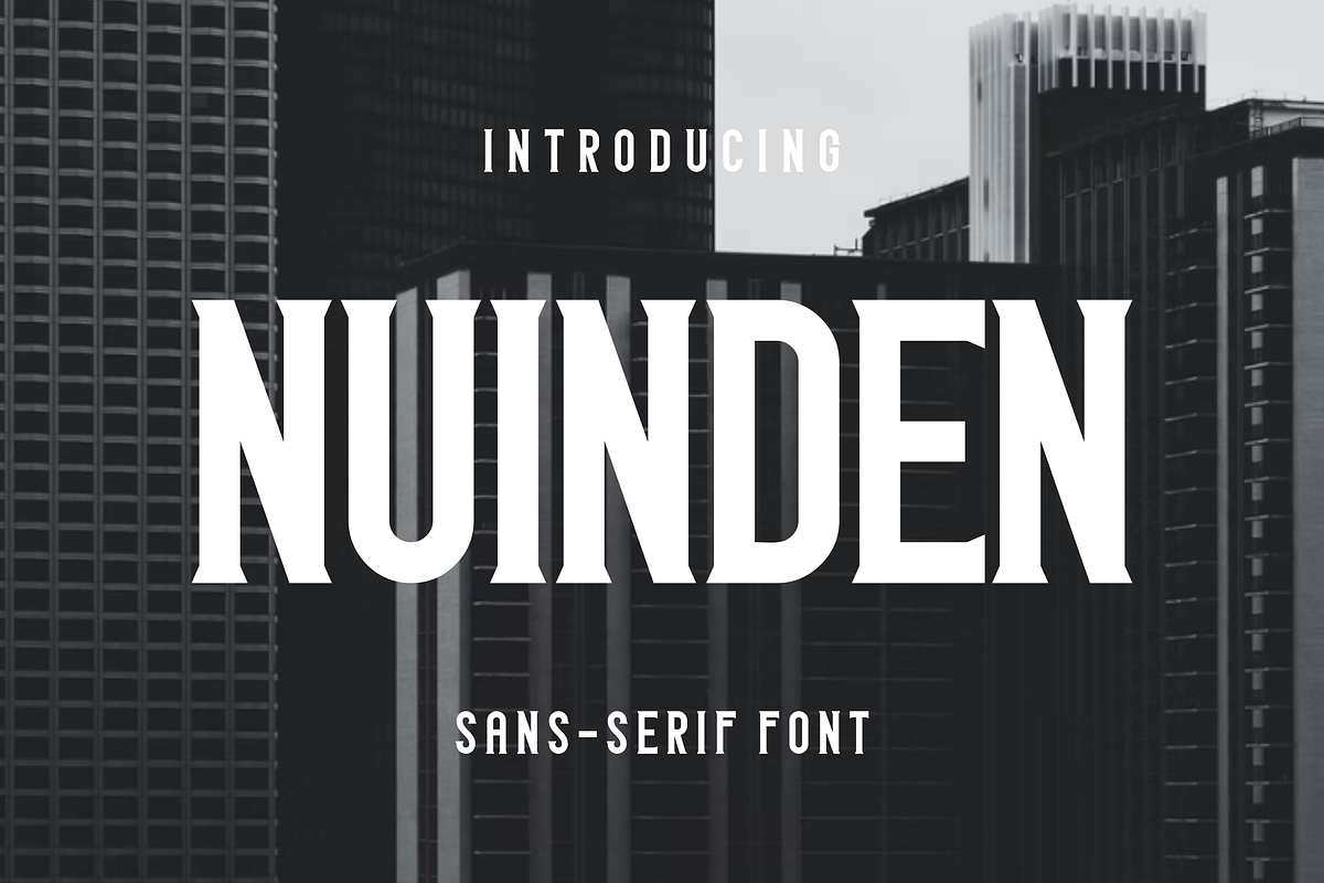 Nuinden, a Sans Serif Font by lelevien (Photo 1 of 4)