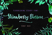 Strawberry Blossom