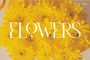 Histeagin Serif, a Serif Font by Yahya Type (Thumbnail 6 of 25)