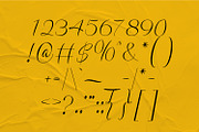 Valencia Font | Script Tropical Font, a Script Font by WhymoreArt (Thumbnail 10 of 10)