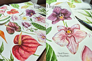 Watercolor Tropical Elegance, a Decorative Illustration by MayaNavits (Thumbnail 9 of 9)
