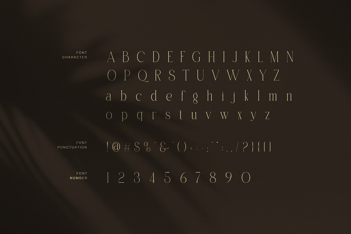 Marben Elegant Serif Font, a Serif Font by Graphicxell (Photo 7 of 8)