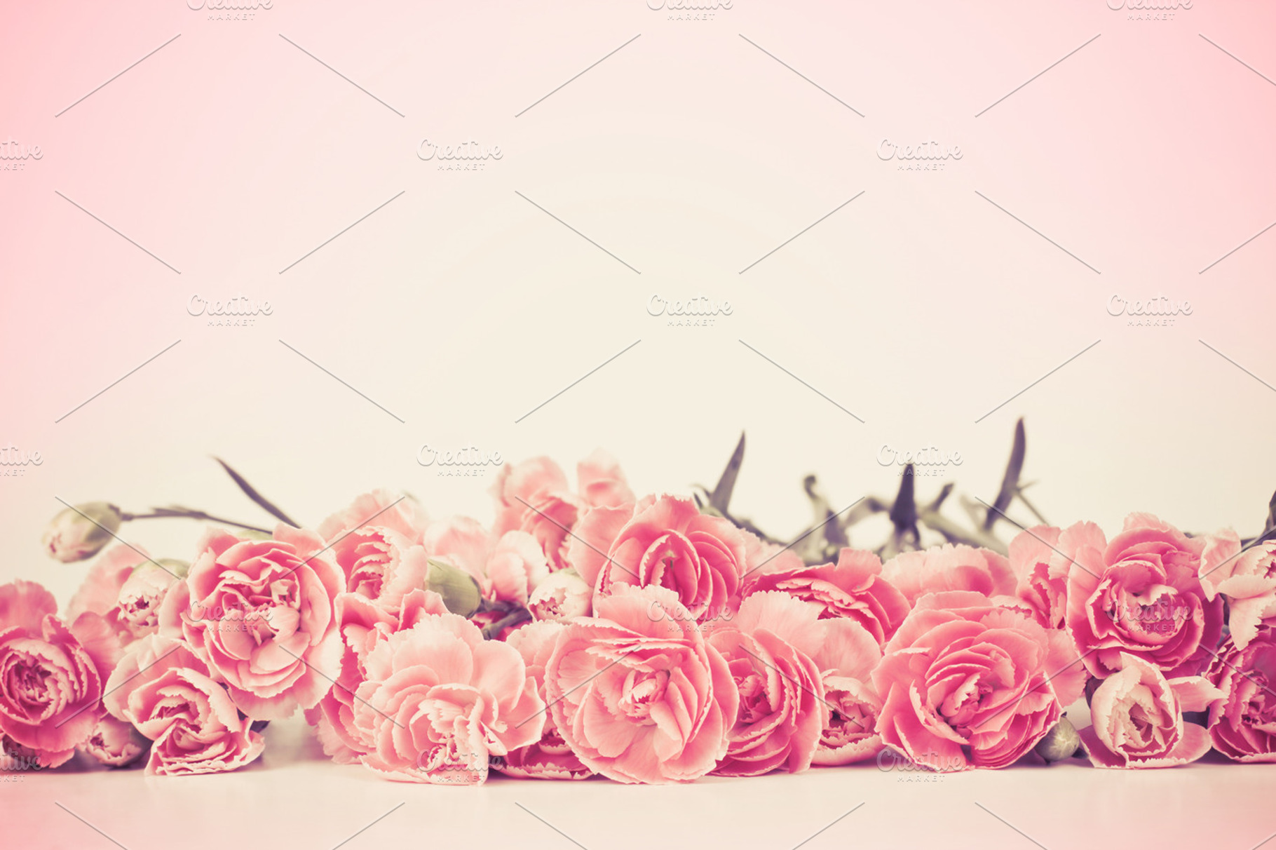 Vintage of carnation flower, a Nature Photo by Cozine