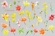 Watercolor Lilies & Orchids, an Illustration by TheSeventhDesire (Thumbnail 2 of 7)