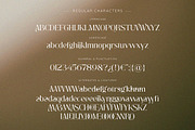 Insta Avant | Ligature Elegant Serif, a Serif Font by ClevUs (Thumbnail 10 of 12)