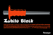 Zubilo, a Sans Serif Font by Paratype (Thumbnail 2 of 2)