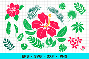 Hibiscus | Tropical leaves | Vector, an Object Graphic by Elena Nesterova (Thumbnail 1 of 4)