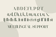 Faiten - Modern Serif Font, a Serif Font by Aqeel_Art (Thumbnail 11 of 12)