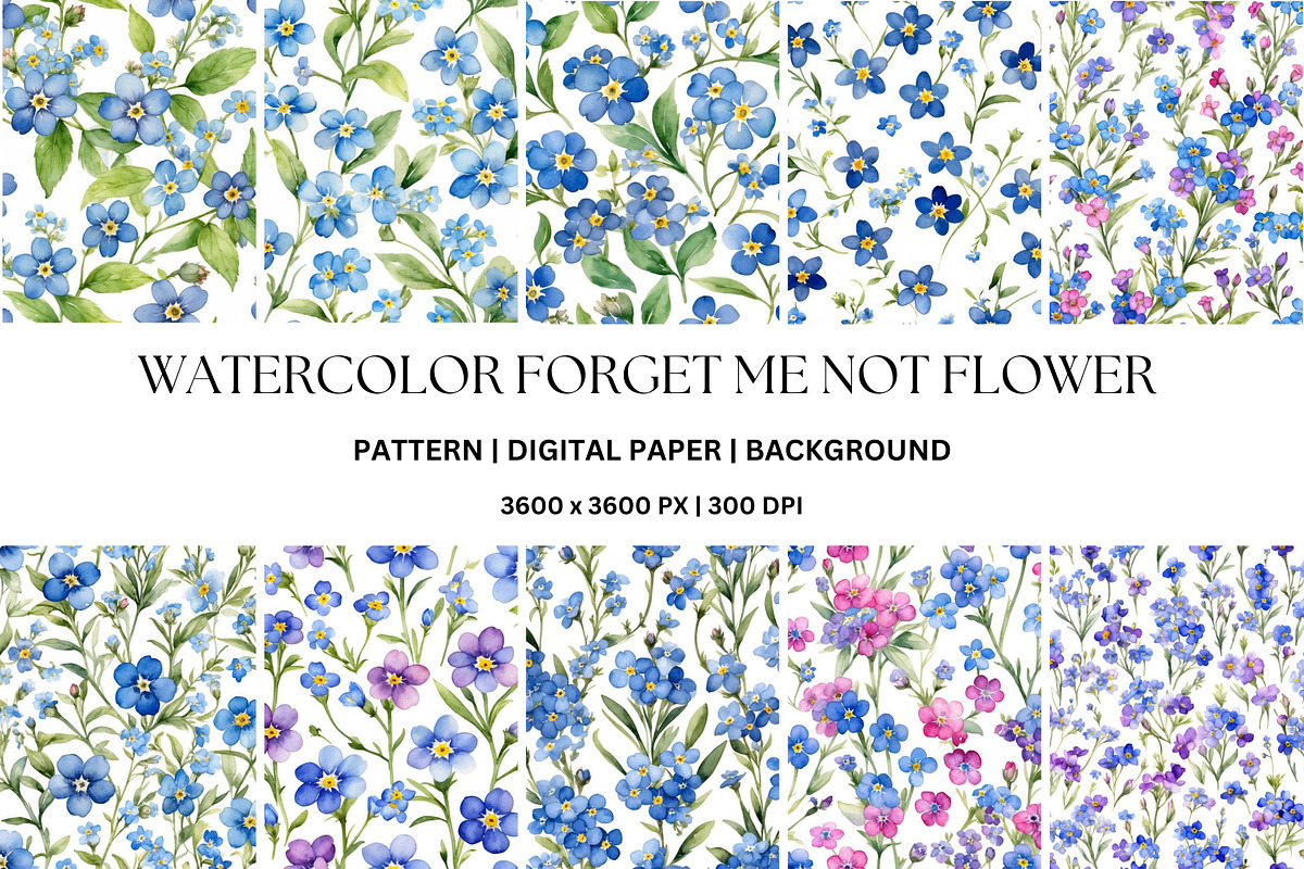 10 WATERCOLOR FORGET-ME-NOT PATTERNS, a Pattern Graphic by Vachira Digital Studio