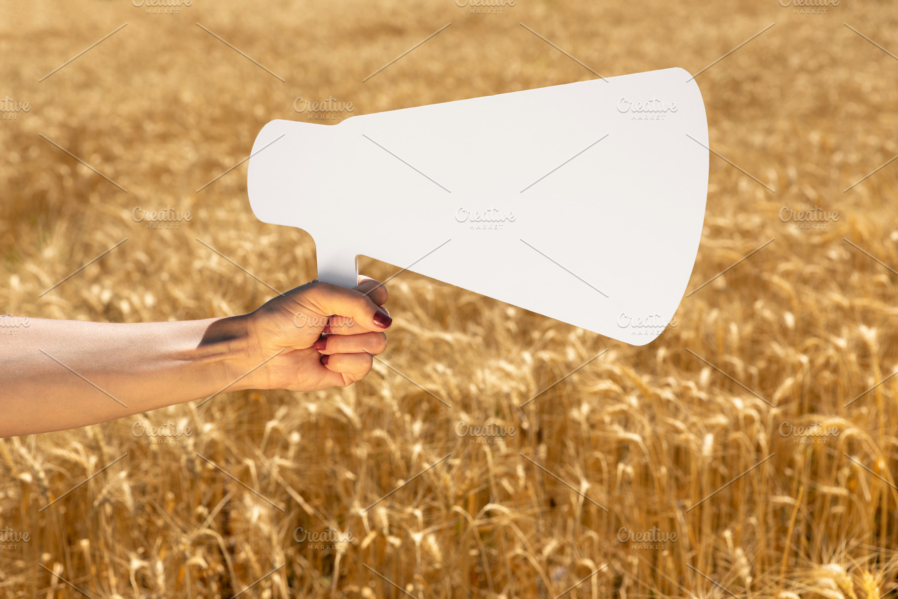 Female hand holding a white megaphone cutout over a ripe wheat f, a Business Photo by Ales Munt