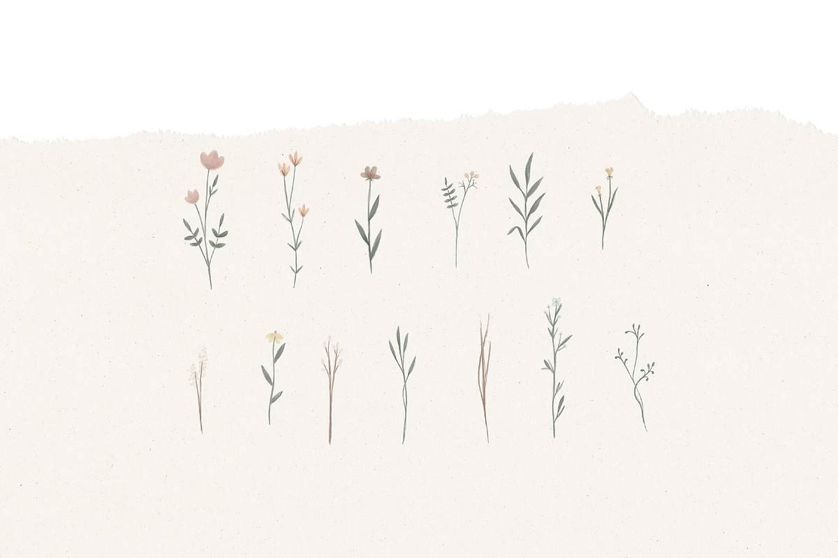 WILDFLOWER ILLUSTRATION / png, an Illustration by KruthDesign (Photo 4 of 4)