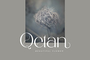 Bagelan - Modern Sans Font, a Sans Serif Font by Aqeel_Art (Thumbnail 3 of 7)
