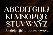 Koiga - Elegant Serif Logo Font, a Serif Font by Pekotype (Thumbnail 3 of 15)