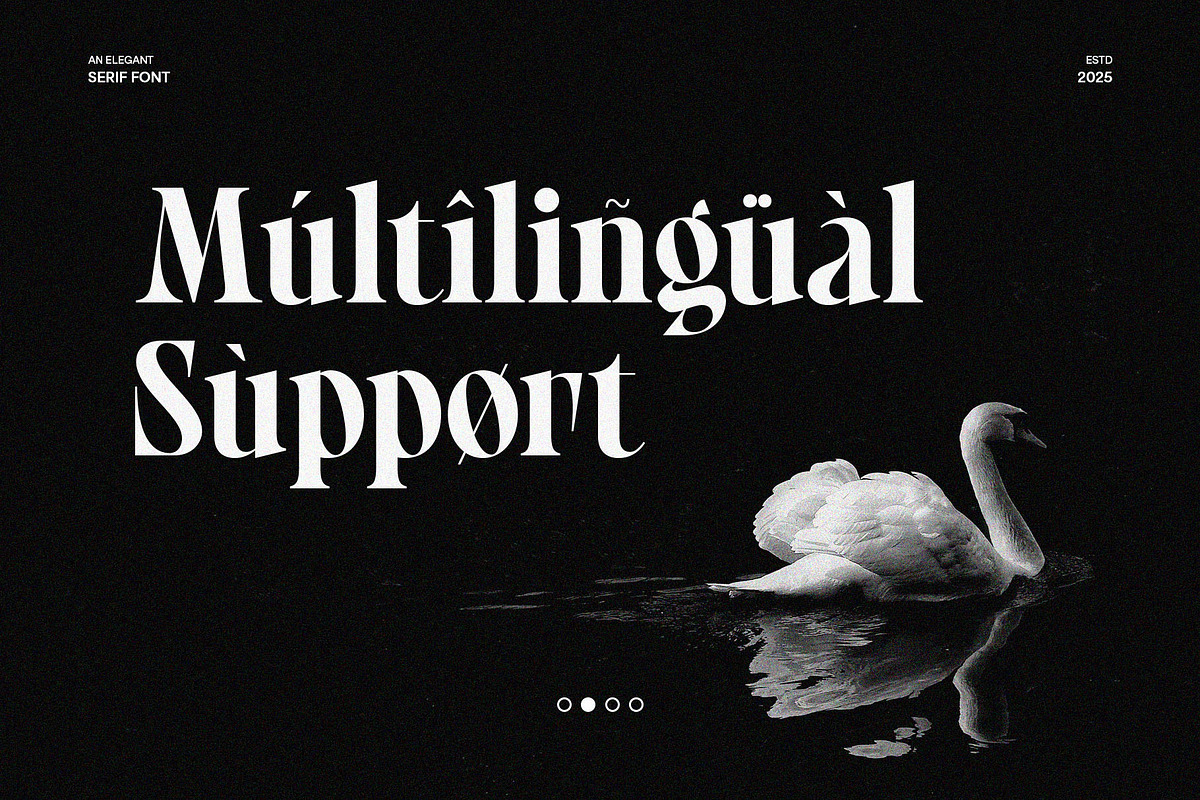 Gerisska – Elegant & Modern Stylish, a Serif Font by BrandSemut (Photo 4 of 10)