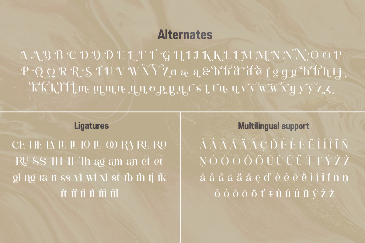 Sejen, a Serif Font by Differentialtype (Photo 7 of 7)